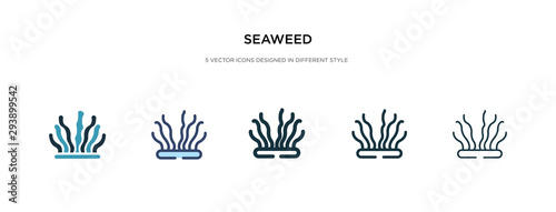 seaweed icon in different style vector illustration. two colored and black seaweed vector icons designed in filled, outline, line and stroke style can be used for web, mobile, ui