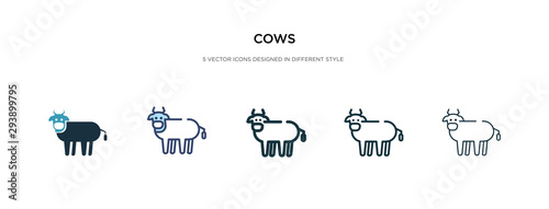 cows icon in different style vector illustration. two colored and black cows vector icons designed in filled, outline, line and stroke style can be used for web, mobile, ui