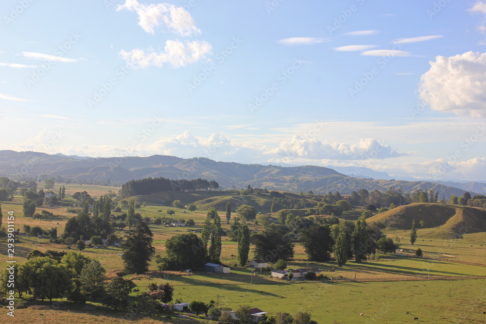 Plains in new zealand on a sunny afternoon