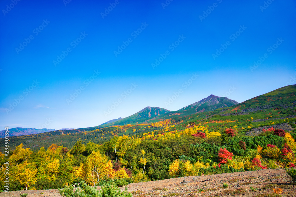 十勝岳の紅葉