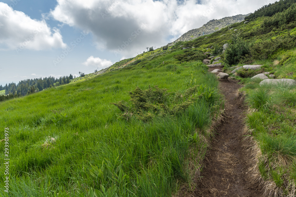 Summer Landscape of Vitosha Mountain, Bulgaria Summer Landscape of Vitosha Mountain, Bulgaria