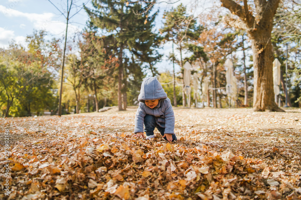 Portrait of small boy wearing coat playing with brown fallen leaves in park on the field in autumn day having fun in nature Portrait of small boy wearing coat playing with brown fallen leaves in park on the field in autumn day having fun in nature