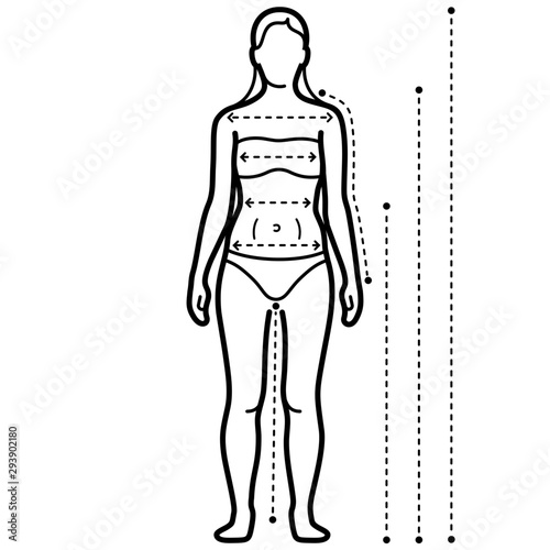 Women's measurement chart