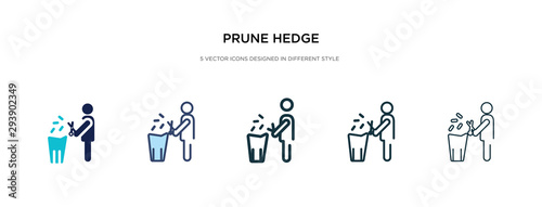 prune hedge icon in different style vector illustration. two colored and black prune hedge vector icons designed in filled, outline, line and stroke style can be used for web, mobile, ui
