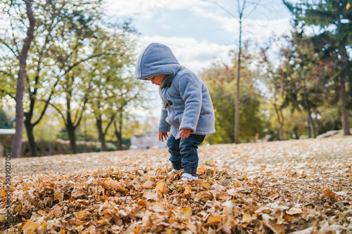 Portrait of small boy wearing coat playing with brown fallen leaves in park on the field in autumn day having fun in nature