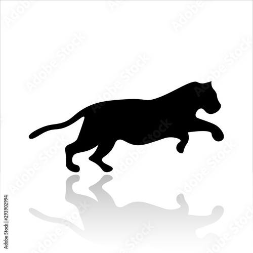 Tiger icon vector design. Wildlife icons