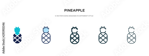 pineapple icon in different style vector illustration. two colored and black pineapple vector icons designed in filled, outline, line and stroke style can be used for web, mobile, ui
