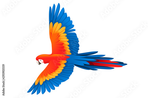 Adult parrot of red-and-green macaw Ara flying (Ara chloropterus) cartoon bird design flat vector illustration isolated on white background