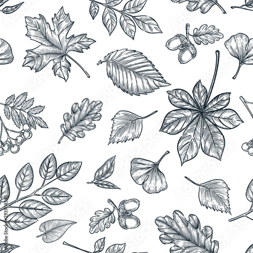 Autumn black white outline leaves seamless pattern. Vector hand drawn sketch illustration. Fall background design