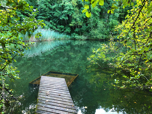 Eichweier or Eichweiher pond (Three Ponds recreation area or Das Naherholungsgebiet Drei Weihern), Drei Weieren - St. Gallen, Switzerland photo