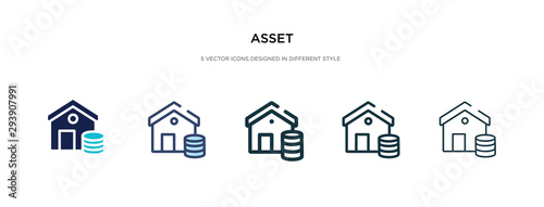 asset icon in different style vector illustration. two colored and black asset vector icons designed in filled, outline, line and stroke style can be used for web, mobile, ui photo