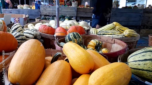 panning shot of different varieties , color and shapes pumpkin in in lots of huge baskets in a public market.J.A photo