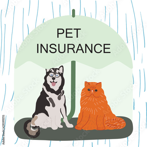 Husky dog and ginger cat under green umbrella with note pet insurance.