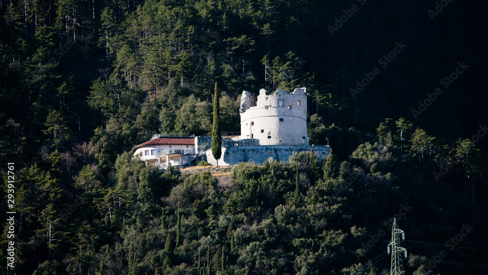 Fototapeta premium Castle