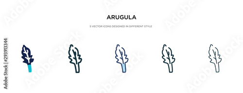 arugula icon in different style vector illustration. two colored and black arugula vector icons designed in filled, outline, line and stroke style can be used for web, mobile, ui