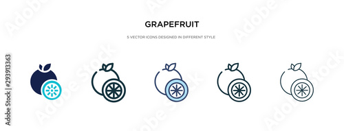 grapefruit icon in different style vector illustration. two colored and black grapefruit vector icons designed in filled, outline, line and stroke style can be used for web, mobile, ui