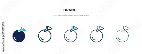 orange icon in different style vector illustration. two colored and black orange vector icons designed in filled, outline, line and stroke style can be used for web, mobile, ui
