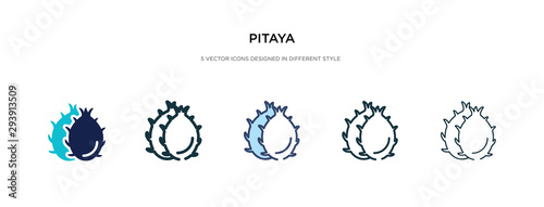 pitaya icon in different style vector illustration. two colored and black pitaya vector icons designed in filled, outline, line and stroke style can be used for web, mobile, ui
