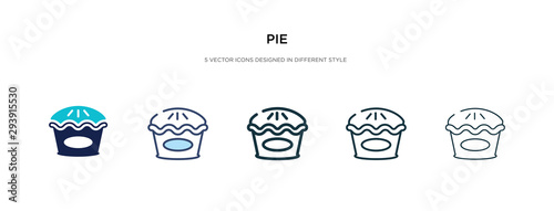 pie icon in different style vector illustration. two colored and black pie vector icons designed in filled, outline, line and stroke style can be used for web, mobile, ui