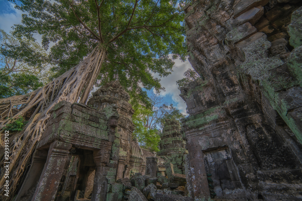 Angkor Wat Art in Siem Reap Province in Cambodia