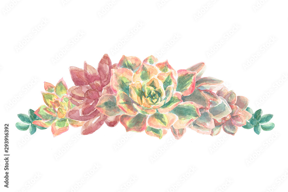Watercolor Succulent Bouquet