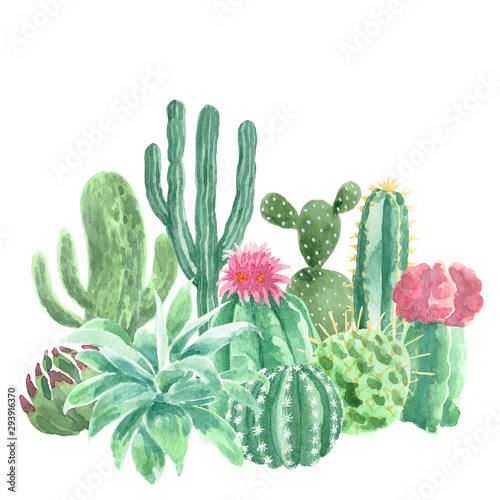 Watercolor Cacti and Succulents