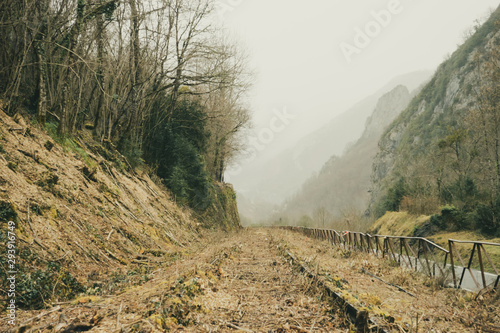 Fotografie Vías de tren abandonadas en el sur de francia