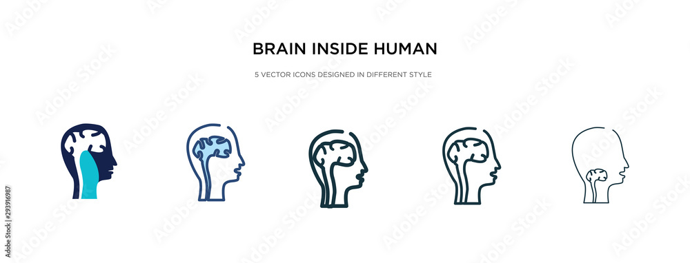 brain inside human head icon in different style vector illustration. two colored and black brain inside human head vector icons designed in filled, outline, line and stroke style can be used for brain inside human head icon in different style vector illustration. two colored and black brain inside human head vector icons designed in filled, outline, line and stroke style can be used for
