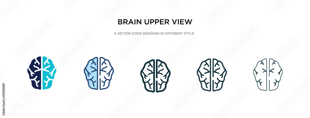 brain upper view icon in different style vector illustration. two colored and black brain upper view vector icons designed in filled, outline, line and stroke style can be used for web, mobile, ui