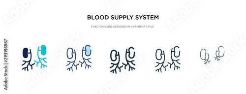 blood supply system icon in different style vector illustration. two colored and black blood supply system vector icons designed in filled, outline, line and stroke style can be used for web,