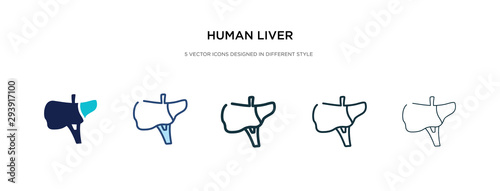 human liver icon in different style vector illustration. two colored and black human liver vector icons designed in filled, outline, line and stroke style can be used for web, mobile, ui