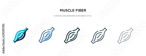 Obraz na płótnie muscle fiber icon in different style vector illustration