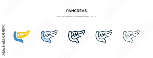 pancreas icon in different style vector illustration. two colored and black pancreas vector icons designed in filled, outline, line and stroke style can be used for web, mobile, ui photo
