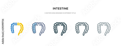 intestine icon in different style vector illustration. two colored and black intestine vector icons designed in filled, outline, line and stroke style can be used for web, mobile, ui