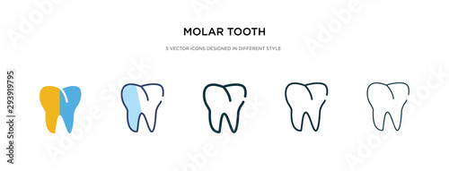 molar tooth icon in different style vector illustration. two colored and black molar tooth vector icons designed in filled, outline, line and stroke style can be used for web, mobile, ui