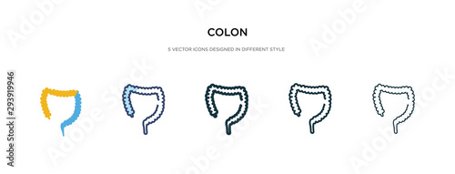 colon icon in different style vector illustration. two colored and black colon vector icons designed in filled, outline, line and stroke style can be used for web, mobile, ui