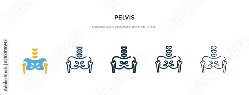 pelvis icon in different style vector illustration. two colored and black pelvis vector icons designed in filled, outline, line and stroke style can be used for web, mobile, ui