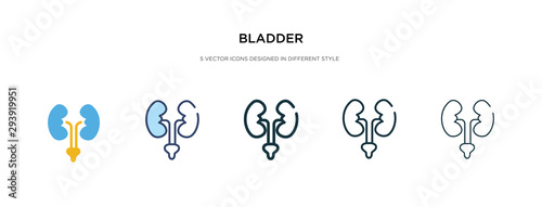 bladder icon in different style vector illustration. two colored and black bladder vector icons designed in filled, outline, line and stroke style can be used for web, mobile, ui