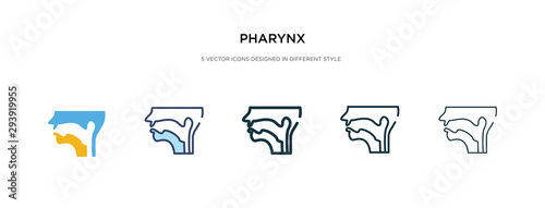 pharynx icon in different style vector illustration. two colored and black pharynx vector icons designed in filled, outline, line and stroke style can be used for web, mobile, ui