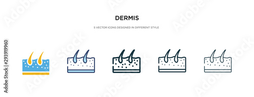 dermis icon in different style vector illustration. two colored and black dermis vector icons designed in filled, outline, line and stroke style can be used for web, mobile, ui photo