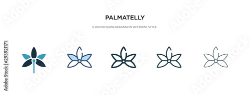 palmatelly icon in different style vector illustration. two colored and black palmatelly vector icons designed in filled, outline, line and stroke style can be used for web, mobile, ui photo