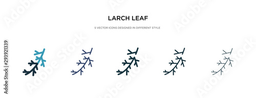 larch leaf icon in different style vector illustration. two colored and black larch leaf vector icons designed in filled, outline, line and stroke style can be used for web, mobile, ui photo