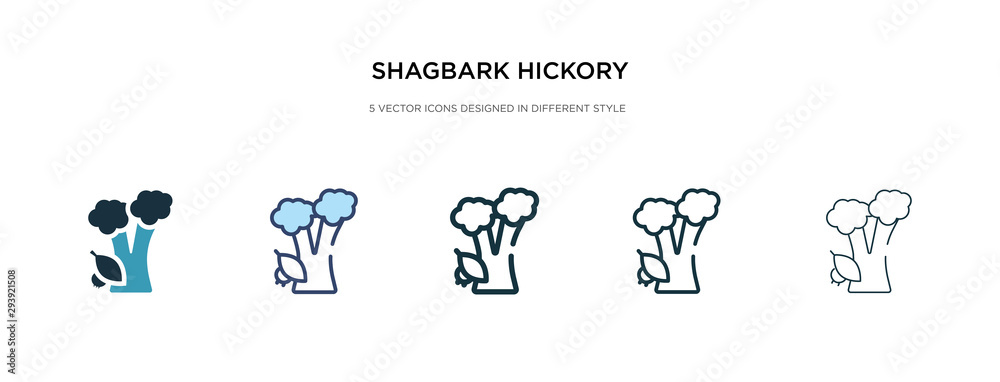 shagbark hickory tree icon in different style vector illustration. two colored and black shagbark hickory tree vector icons designed in filled, outline, line and stroke style can be used for web, shagbark hickory tree icon in different style vector illustration. two colored and black shagbark hickory tree vector icons designed in filled, outline, line and stroke style can be used for web,