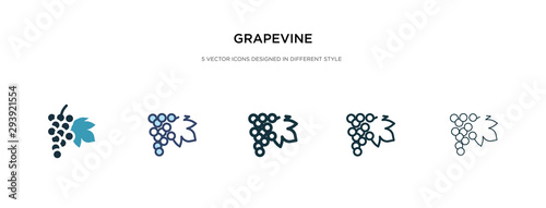 grapevine icon in different style vector illustration. two colored and black grapevine vector icons designed in filled, outline, line and stroke style can be used for web, mobile, ui