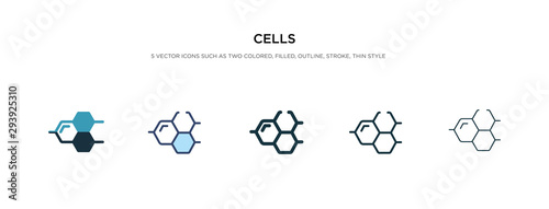 cells icon in different style vector illustration. two colored and black cells vector icons designed in filled, outline, line and stroke style can be used for web, mobile, ui