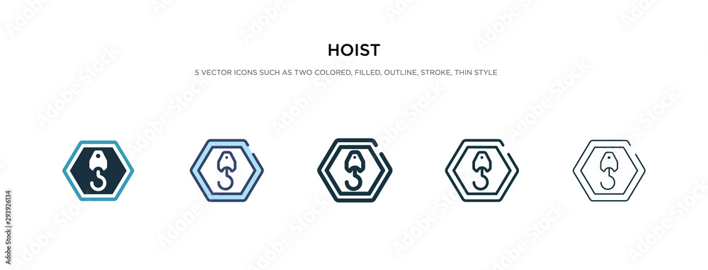 hoist icon in different style vector illustration. two colored and black hoist vector icons designed in filled, outline, line and stroke style can be used for web, mobile, ui hoist icon in different style vector illustration. two colored and black hoist vector icons designed in filled, outline, line and stroke style can be used for web, mobile, ui