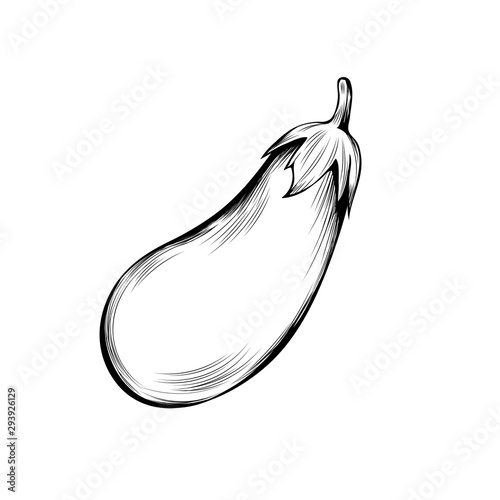 Ripe eggplant hand drawn vector illustration. Thanksgiving day, agriculture, healthy nutrition sketch symbol. Natural aubergine, vegetable engraved monochrome drawing. Seasonal harvest, farm food