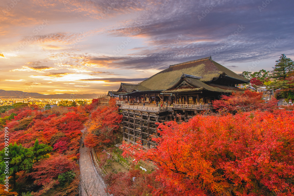 Naklejka premium Etap Kiyomizu-dera w Kioto w Japonii jesienią