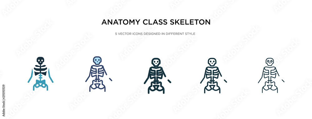 anatomy class skeleton icon in different style vector illustration. two colored and black anatomy class skeleton vector icons designed in filled, outline, line and stroke style can be used for web,