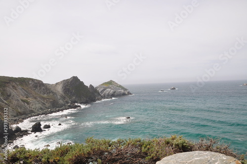 Central California Coast near big sur from pch 